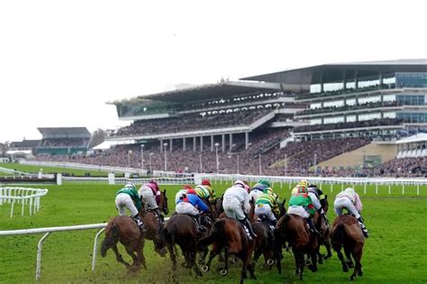 2024 Cheltenham Gold Cup Result .